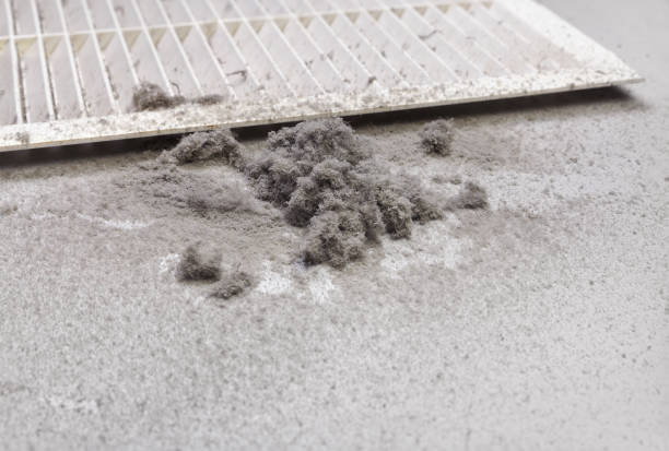 Best HVAC System Cleaning  in Selma, TX
