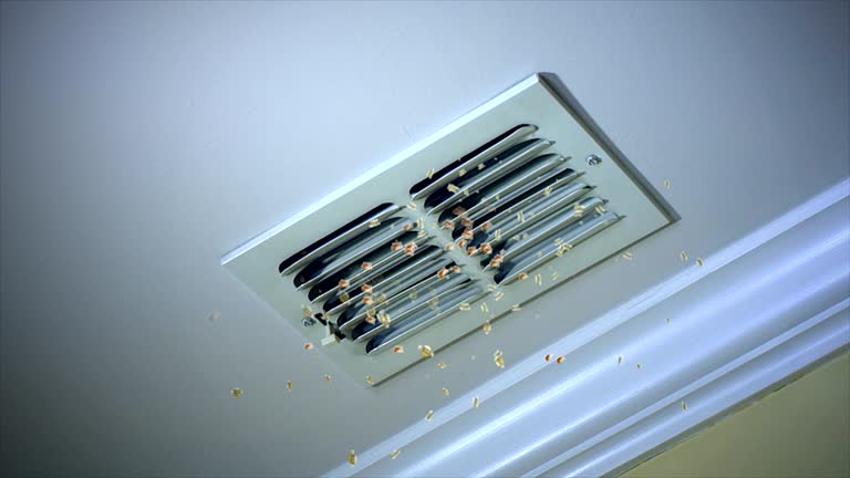 Best HVAC Duct Inspection Services  in Selma, TX